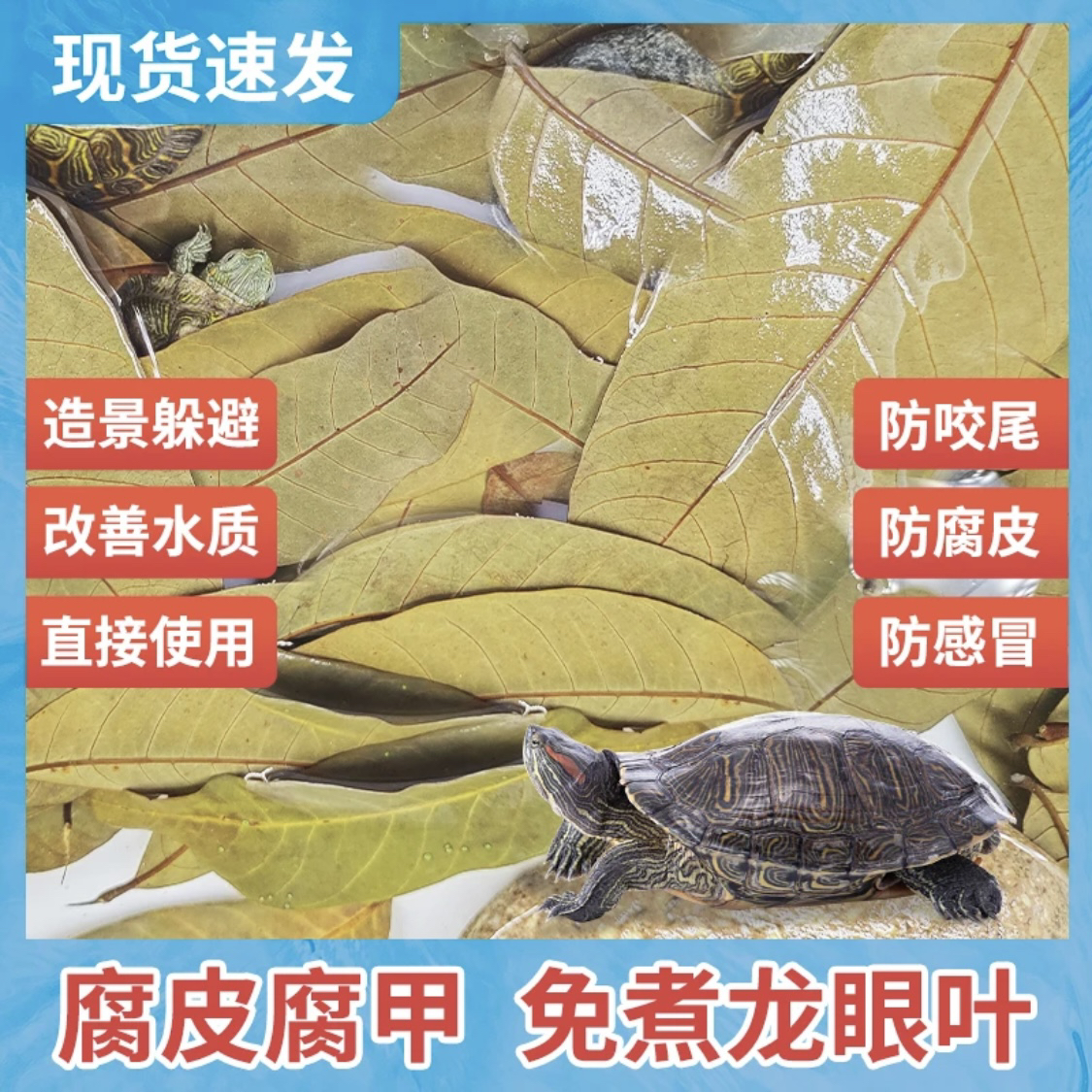 乌龟改善水质预防腐皮调节免煮周转箱烂甲龙眼叶仿原生态龟缸治疗
