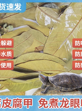 乌龟改善水质预防腐皮调节免煮周转箱烂甲龙眼叶仿原生态龟缸治疗