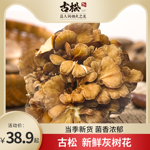 古松 福建特产 新鲜灰树花食用菌菇蘑菇炒菜煲汤食材当季新货