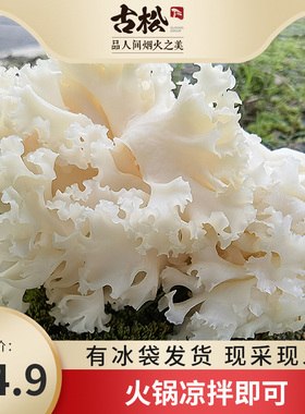 古松 绣球菌新鲜非干货食用菌菇1000g凉拌银耳煲汤火锅食材