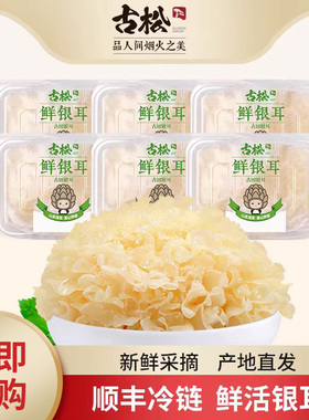 古松 福建古田鲜银耳6朵盒装700g白木耳银耳莲子羹雪耳糯耳