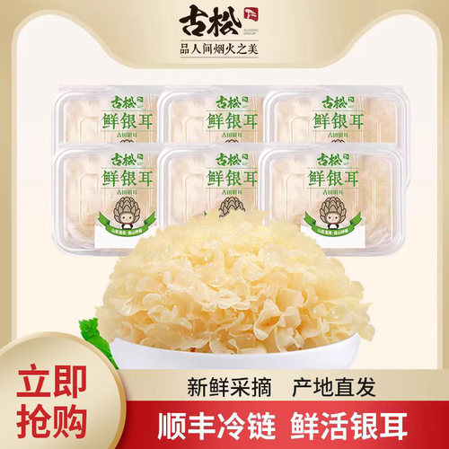 古松银耳6朵盒装胶质满满