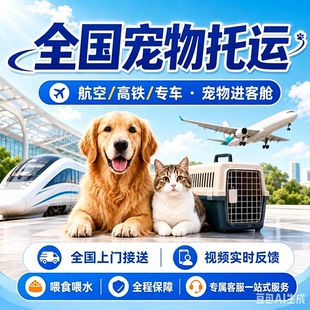 济南烟台青岛宠物托运宠物进客舱宠物随机手续办理飞机高铁专车