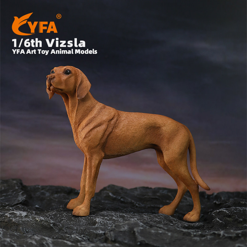 YFA模玩1/6维兹拉犬仿真狗模型维斯拉犬车载摆件维希拉猎犬Vizsla