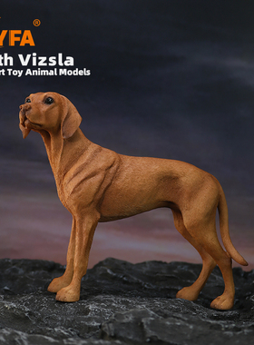 YFA模玩1/6维兹拉犬仿真狗模型维斯拉犬车载摆件维希拉猎犬Vizsla
