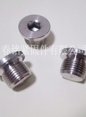 316不锈钢内六角堵头DIN908 法兰边堵头闷头油塞带边管堵(定制）
