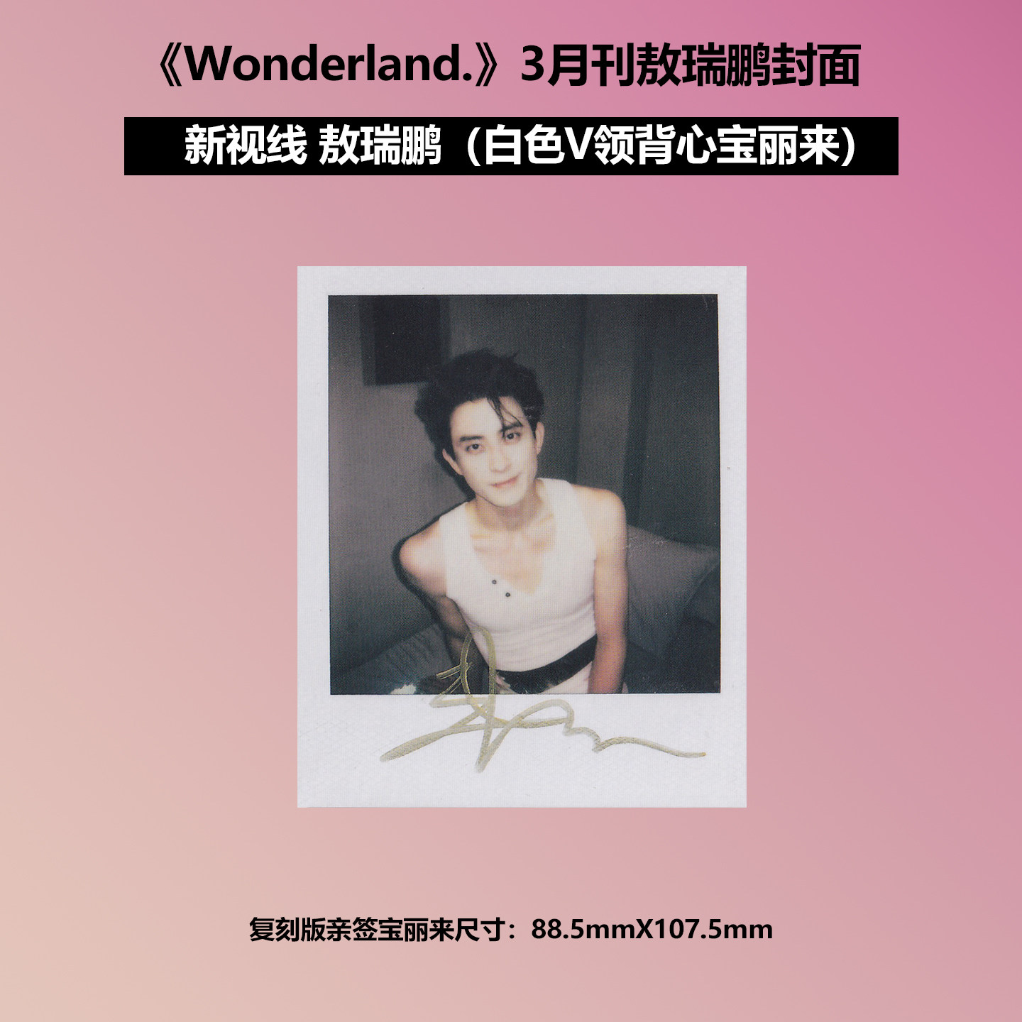 【保真】正版 新视线 3月 敖瑞鹏 官方小卡 隐藏卡 宝利来 可选  新视线Wonderland.杂志2025年3月 无坐着图片