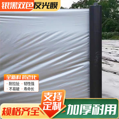 加厚PE农用地膜保温保湿
