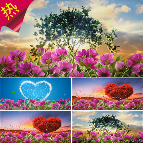 谢谢你 手语舞 唯美花朵小树生长 爱心 慈善扶贫晚会 视频素材