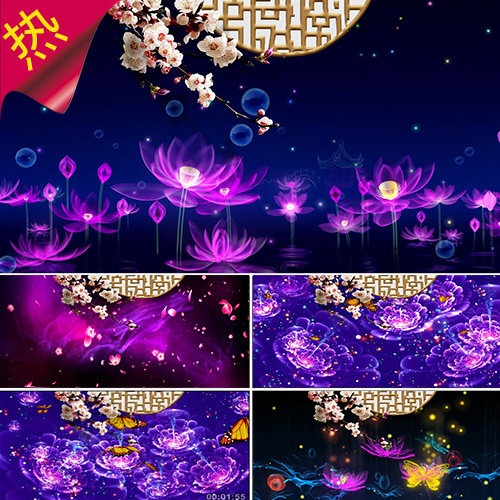 恋人心 古典舞蹈背景 夜色荷花 花瓣飘落蝴蝶 梦幻花开 视频素材