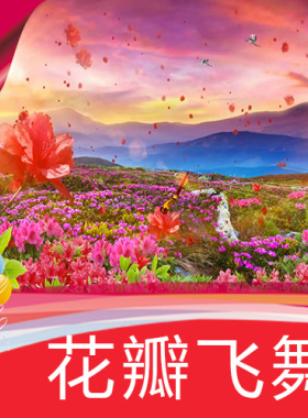【花瓣飞舞】漫山鲜花飘舞高清视频素材制作 舞台LED背景节目表演