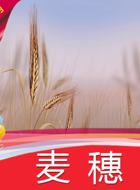【麦穗】高清LED视频素材/节目表演舞蹈/舞台背景制作