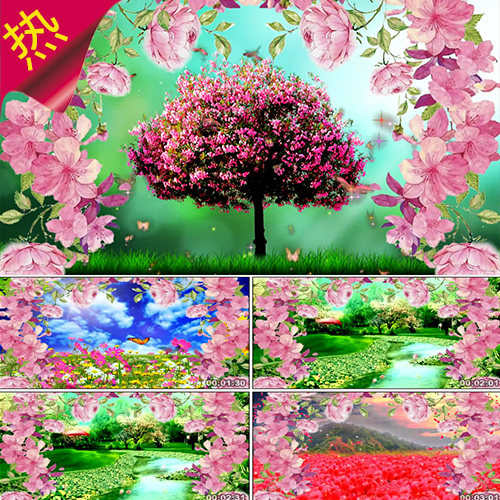 女人花 唯美花朵蝴蝶 花草树木 春天美景花海河流 视频素材
