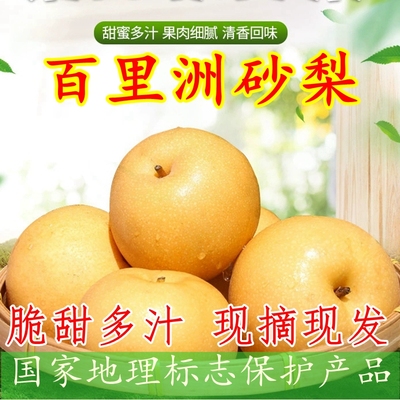 百里洲砂梨梨脆甜皮薄多汁