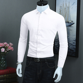 白色正装 高级感无痕衬衫 衬衣 弹力秋季 商务休闲免烫男士 男长袖 修身