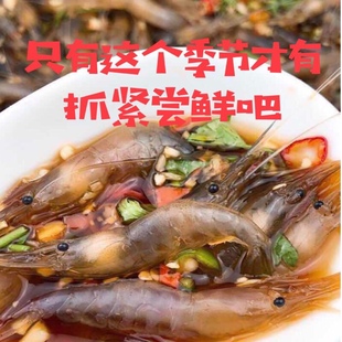 盐城醉虾 即食生呛小白虾生腌小青虾鲜活呛虾即食海鲜醉白米虾