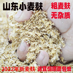 小麦麸粗麸皮当季 新鲜饲喂猪鸡鸭鹅面包虫钓鱼打窝热敷食用菌原料