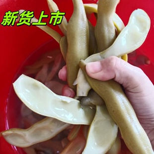 25年新货上市新鲜虎老豆广东梅州客家特产带皮狗爪豆真空包装