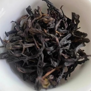 明前新茶单丛茶广东兴宁客家特产