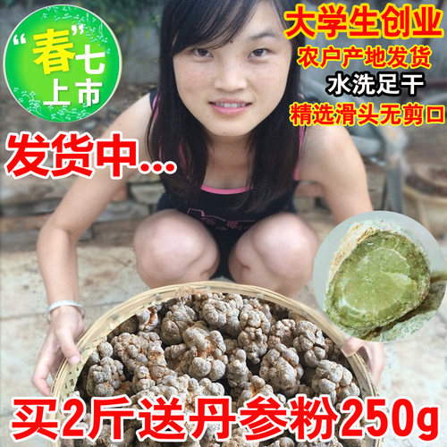 云南文山三七20头30头18春田七500g圆粉片狮子头可代磨粉片真三七