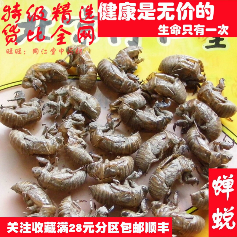 特级100克蝉蜕虫退知了皮可打粉中药材同品质精选