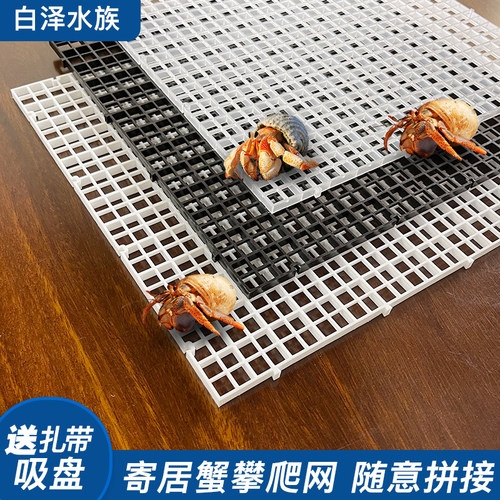 寄居蟹攀爬架爬宠用具造景爬网