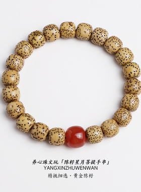 海南陈籽星月菩提子盘玩手串天然南红玛瑙文玩佛念珠单圈男女配饰