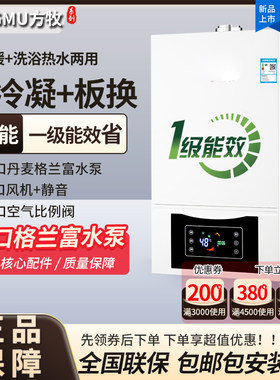 液化气定制款冷凝式燃气壁挂炉一级能效家用采暖炉暖气片两用锅炉