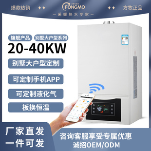 冷凝式一级能效燃气壁挂炉家用液化气天然气采暖炉暖气片两用锅炉