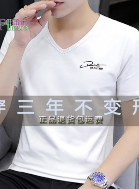 高品质畅销款夏季纯棉短袖t恤男装V领潮牌韩版休闲简约半袖打底衫