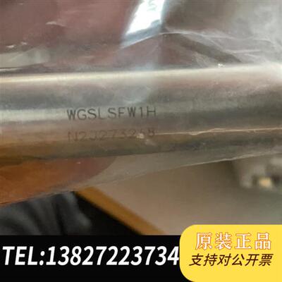 全新库存Entegris英格特 WGSLSHW1H金属过滤器全新议价