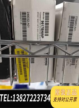 全新原装热电 奥立龙 9617BNWP氯离子电极9617BNWP C需询价