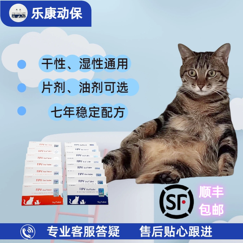 猫传腹干性湿性喵咪传腹油剂针剂口服片剂腹水抑制剂fipv免疫增强