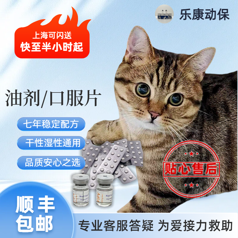 乐康动保 猫传腹干性湿性油剂针剂口服片剂营养液免疫增强剂