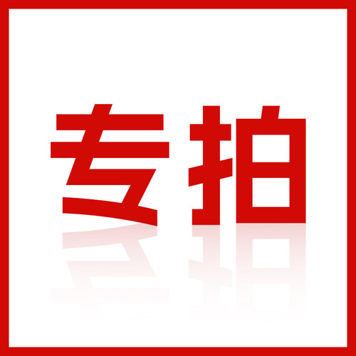 合作定制专拍链接