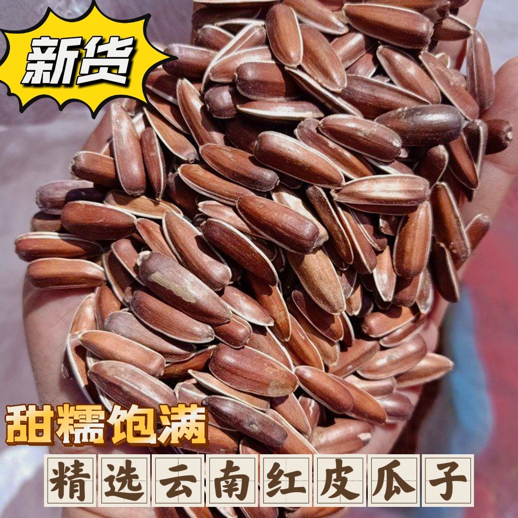 云南2025红皮生瓜子原味晒干葵花籽甜糯大颗粒甜瓜子休闲零食新货