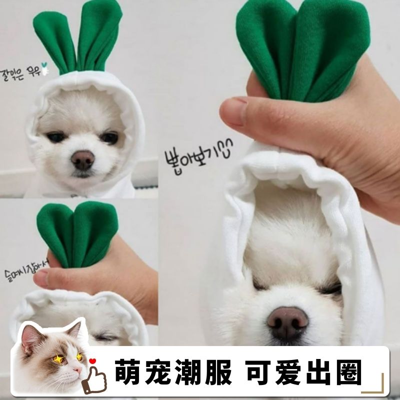 宠物秋冬衣服狗狗保暖猫咪可爱卫衣比熊吉娃娃小型犬防掉毛绝育服