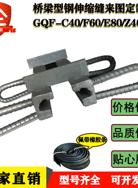 型钢伸缩缝GQF-e/f/r/z40/D60/80/c40型伸缩装置/模数式伸缩缝d40