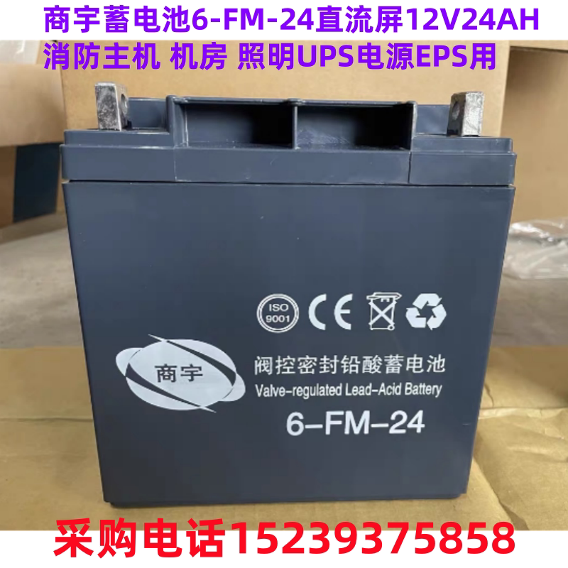 商宇蓄电池6-FM-24直流屏12V24AH消防主机 机房 照明UPS电源EPS用图片