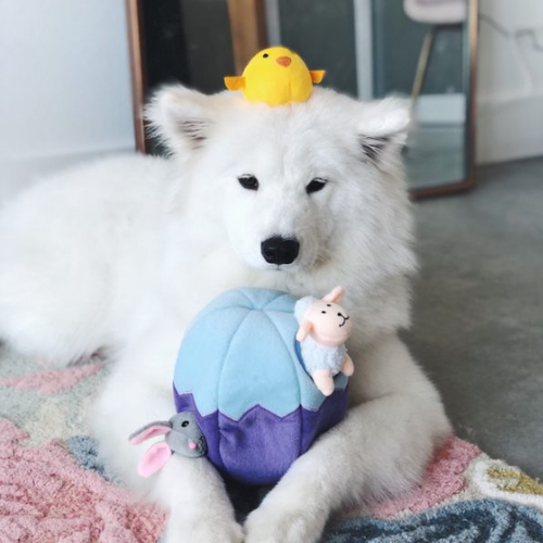 新品发声美国zippypaws毛绒玩具