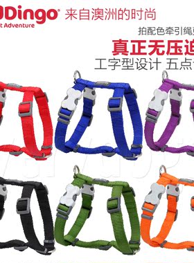 清仓买一送一瑞鼎狗RedDingo工字型胸背带马具型金毛狗牵引绳