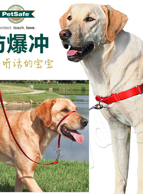 包邮 PetSafe防爆冲胸背带头套宠物犬大狗金毛萨摩耶训练牵引绳