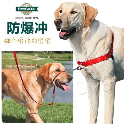 包邮 PetSafe防爆冲胸背带头套宠物犬大狗金毛萨摩耶训练牵引绳