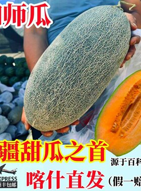 伽师瓜新疆喀什产地直发
