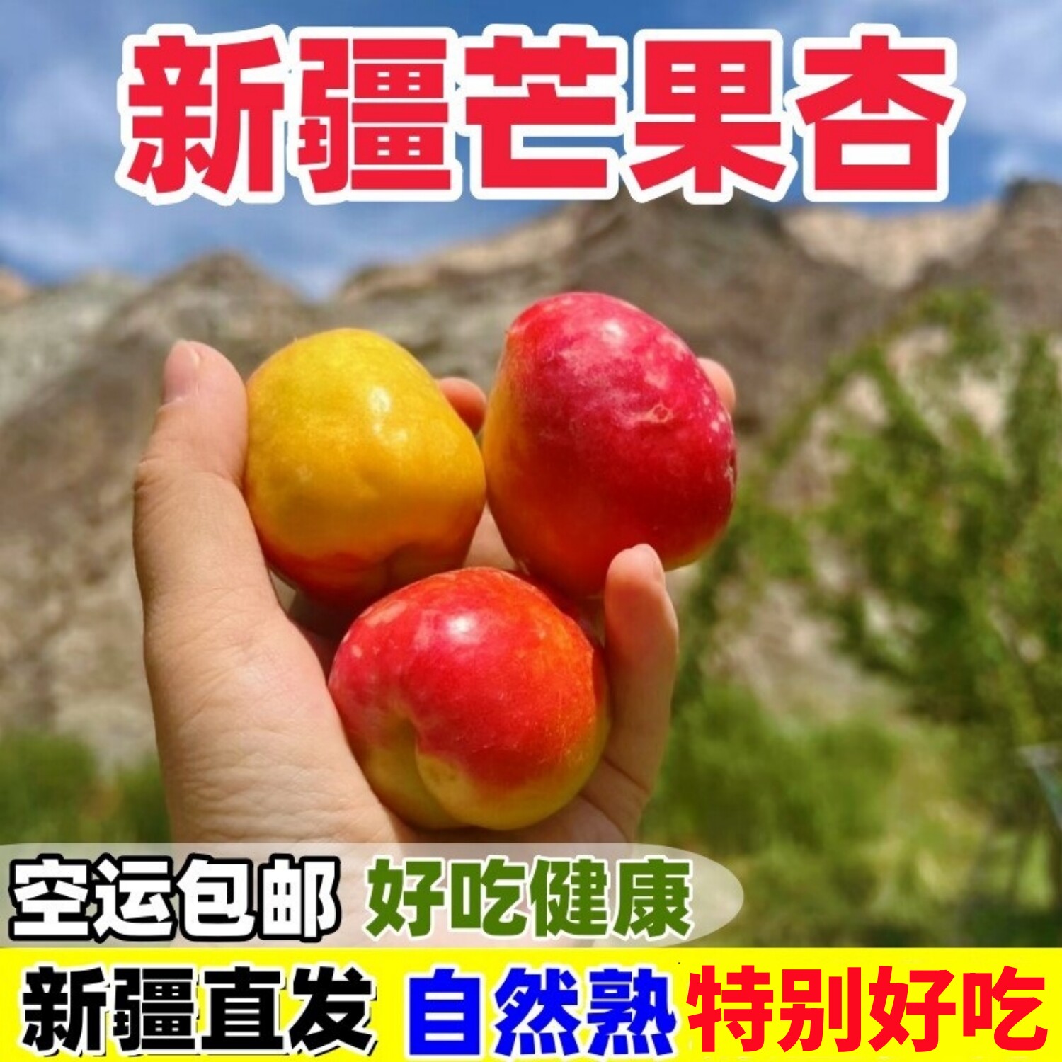 新疆芒果杏阿瓦提吊干杏子新鲜水果顺丰包邮甜蜜油杏小红杏小白杏