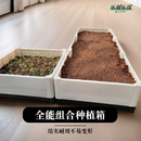 阳台种菜盆种菜专用箱蔬菜种植箱大花盆种菜专用盆楼顶菜园箱白30