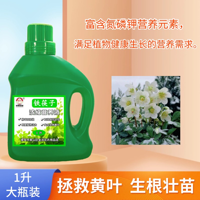 铁筷子重瓣圣诞玫瑰专用浓缩营养家室内庭院盆地栽年宵花水溶性肥