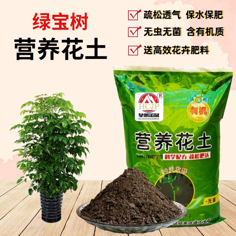 绿宝树专用营养土疏松透气种植土