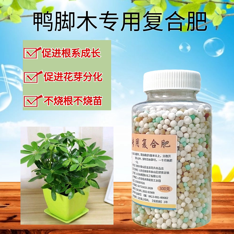 鸭脚木专用复合肥鹅掌柴招财树八方来财绿植氮磷钾园艺缓控释肥料