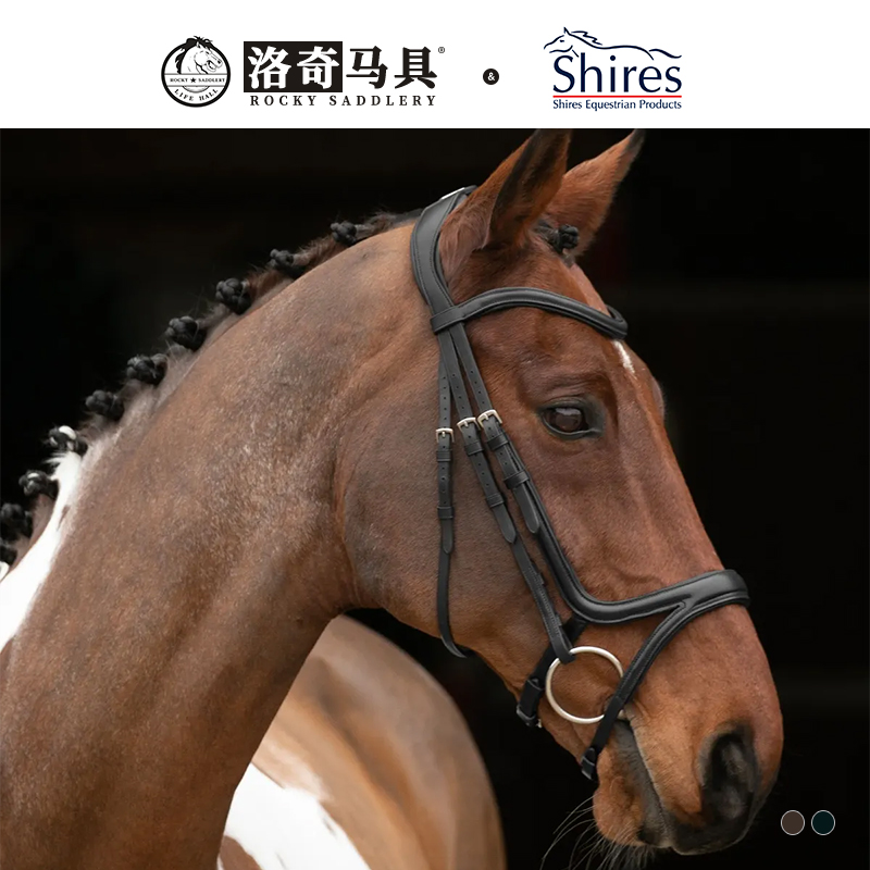 英国Shires-Rapida舒适版牛皮水勒缰英式牛皮缰绳马术马具8208041